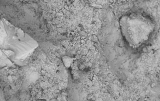 Microscopía Electrónica de Barrido