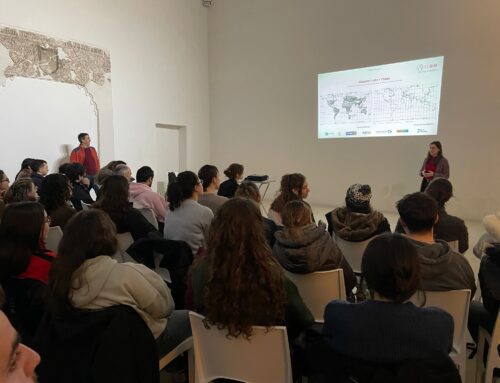 LIFE24 I-LIBIM: Éxito de participación en el taller sobre vulnerabilidad climática en el Casco Histórico de Toledo